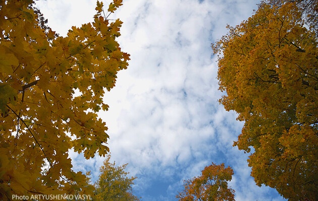 Мінлива хмарність, місцями дощі: яким в Україні буде початок листопада