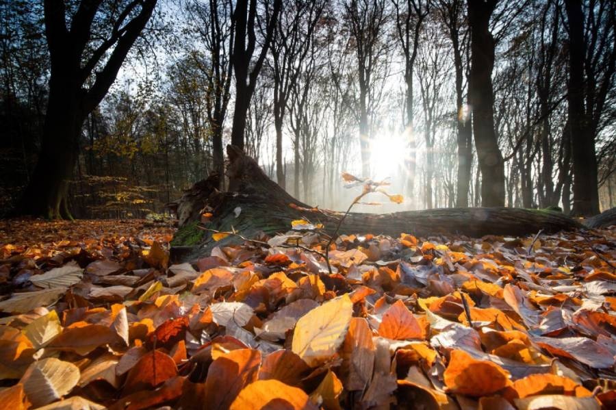 Синоптик попередив про похолодання: коли температура впаде