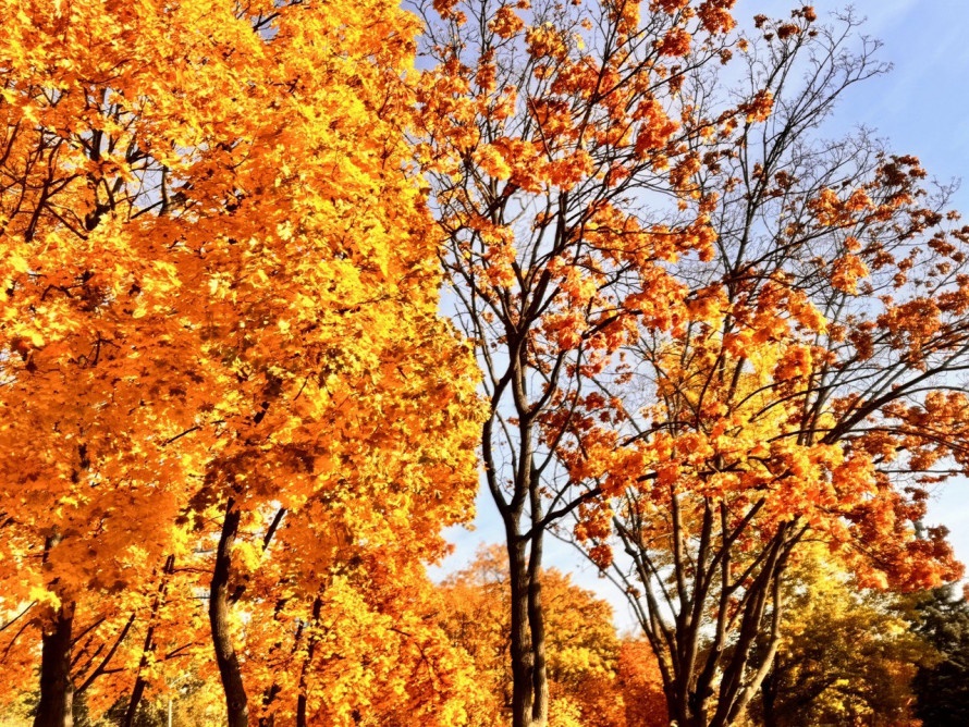 Погода на выходных: местами температура снизится