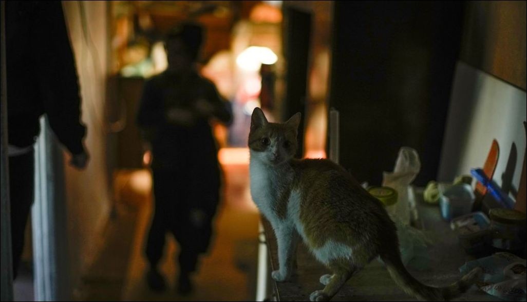 Коли немає світла: чим можна замінити свічки в оселі