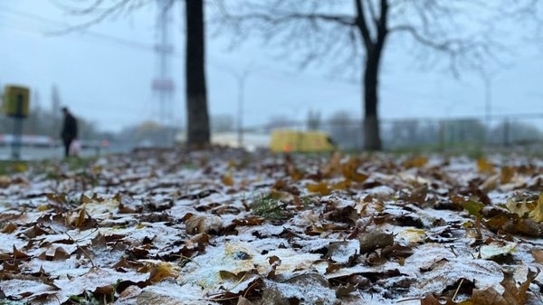 Погода на этой неделе: в Гидрометцентре рассказали, ожидать ли снега