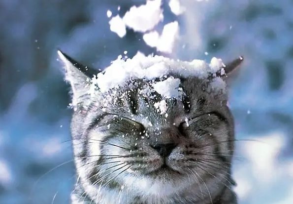 Зима здивує українців: синоптики розповіли, якою буде погода