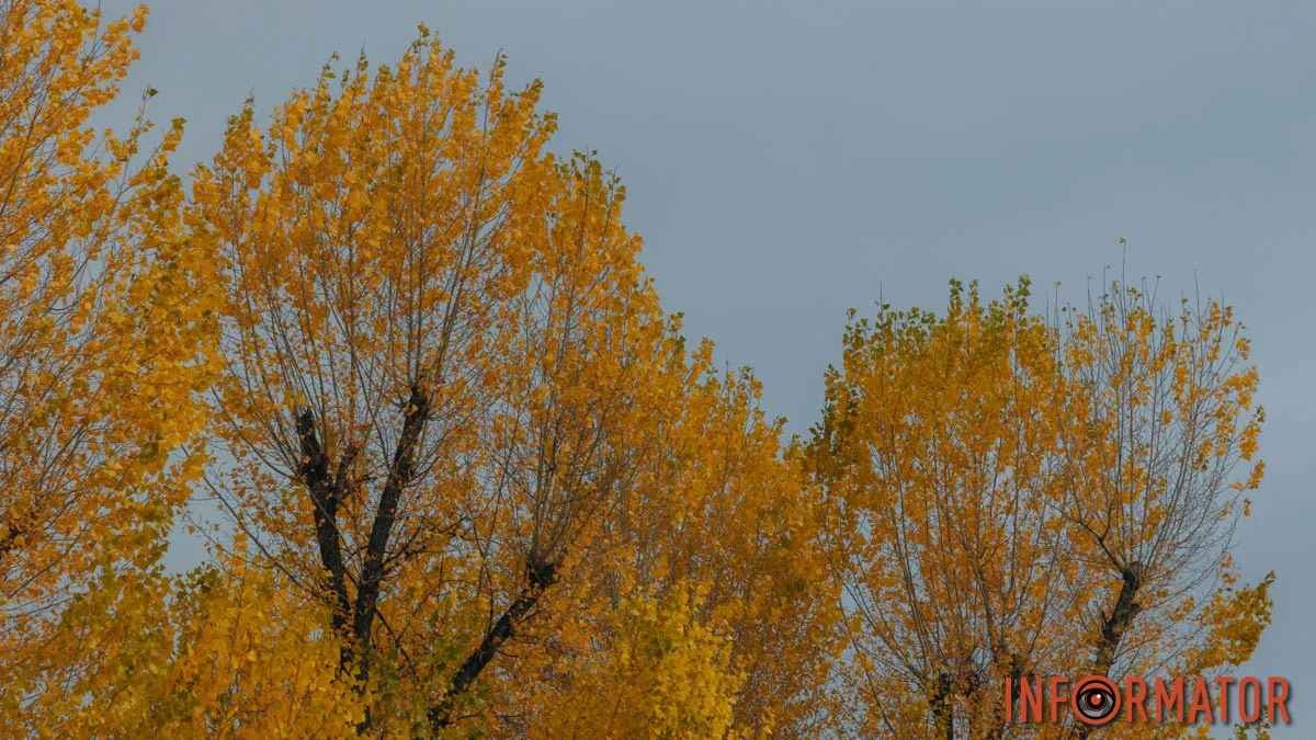 Погода у листопаді: синоптик назвав дати, коли повернеться тепло