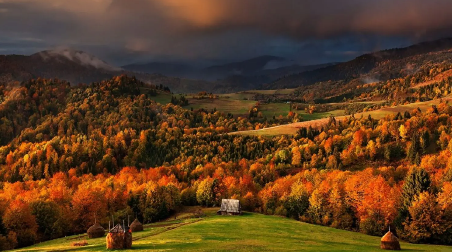 Відпочинок у Карпатах: скільки коштує подорож на три дні у гори