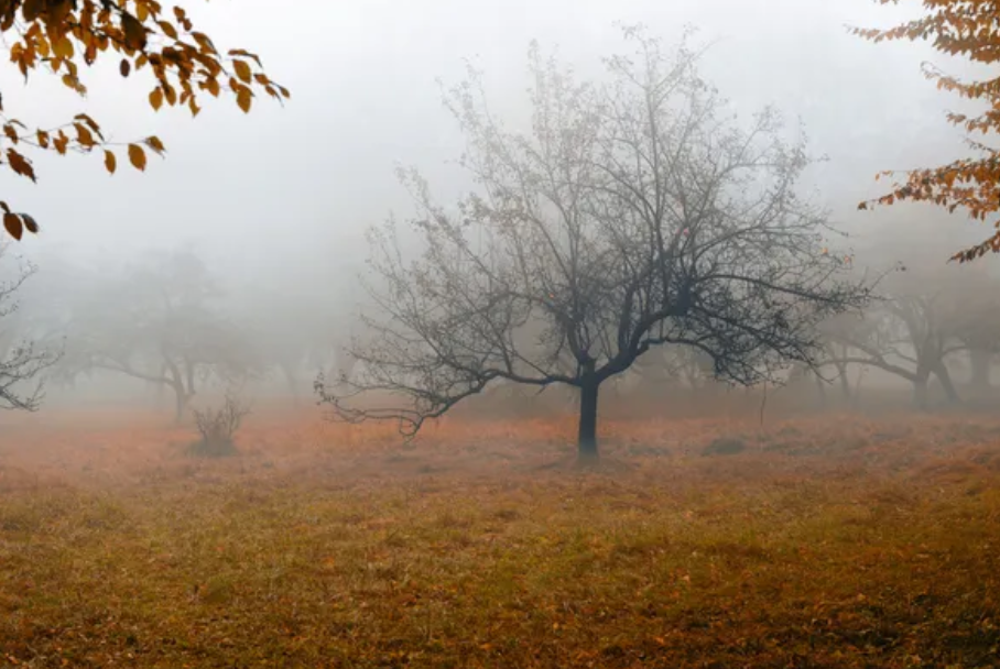 Облачная погода, местами вероятны небольшие дожди: прогноз синоптиков на завтра