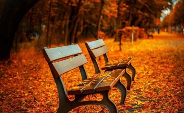 Названы области Украины, которые окутает холод: прогноз на 15-16 ноября