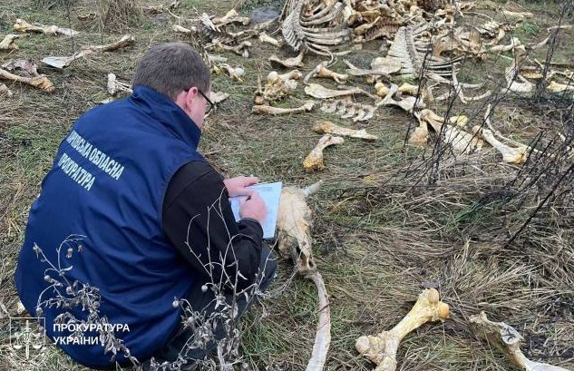 В Харьковской области обнаружили свалку костей животных