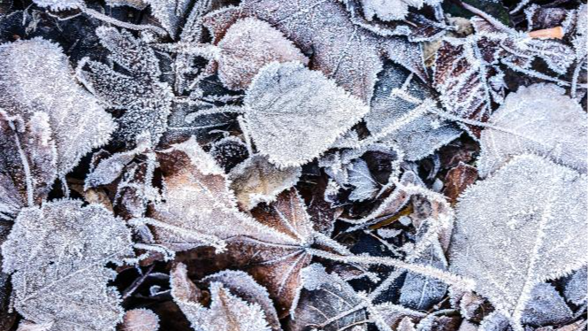 Синоптики повідомили, коли в Україну прийдуть морози