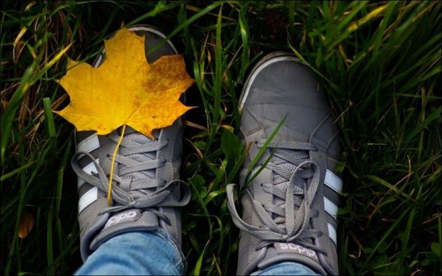 В Украине будет мокрый снег: прогноз на 19 ноября