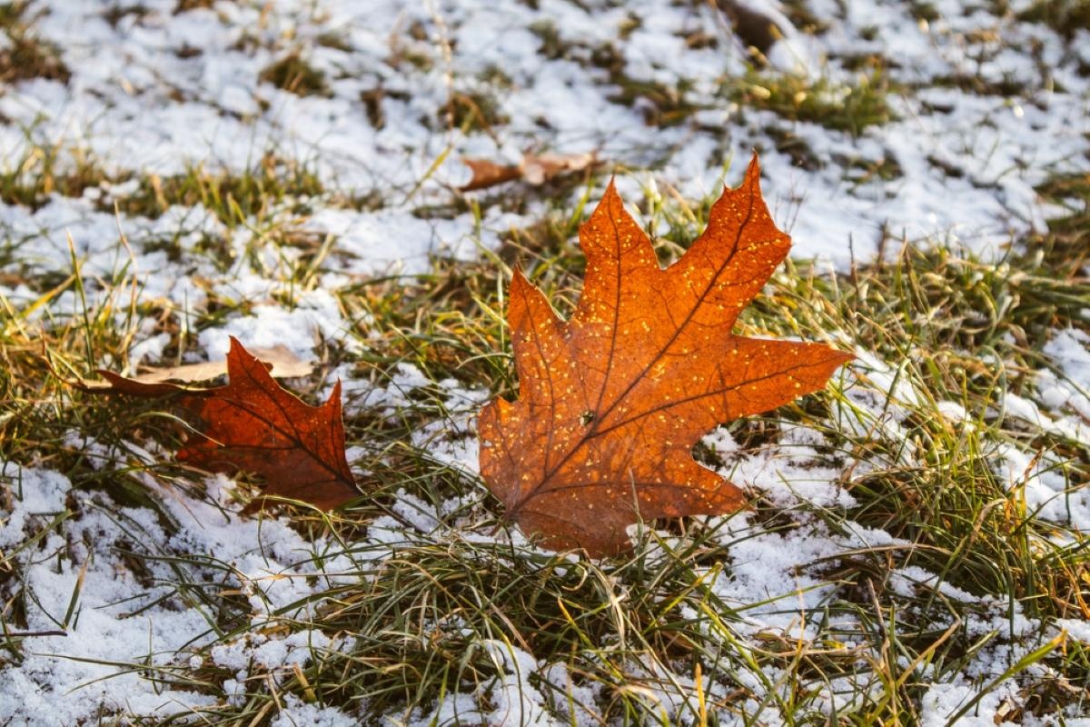 Украинцев предупредили о резком ухудшении погоды