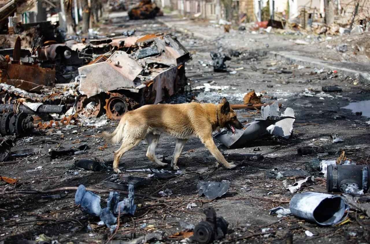 Розслідування назвало головних винуватців розстрілів людей у ​​Бучі, - Reuters