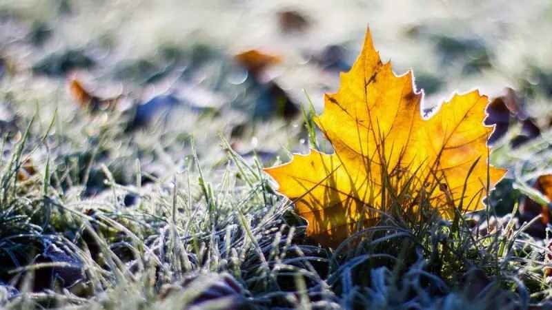 Синоптик рассказала, где в Украине будет дождь с мокрым снегом