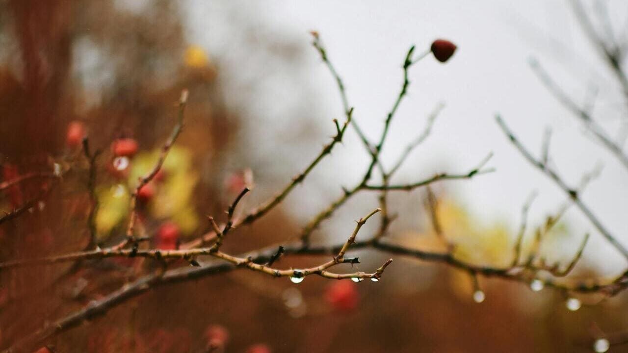 Україну накриють атмосферні фронти: прогноз погоди на сьогодні