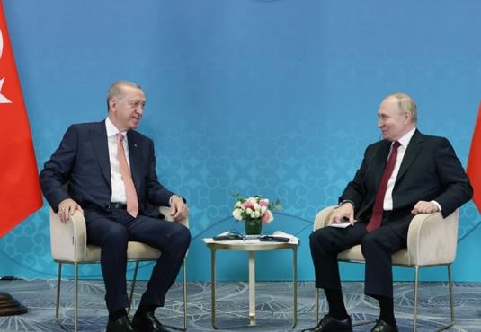 Путин в разговоре с Эрдоганом похвалил первый проект "мирного плана" США