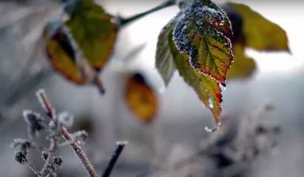 Відносно тепло, але з опадами: синоптики попередили про нетипову погоду