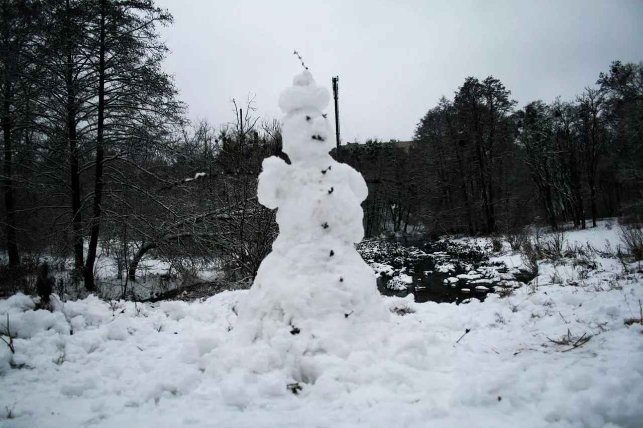 В Гидрометцентре рассказали, каким будет декабрь
