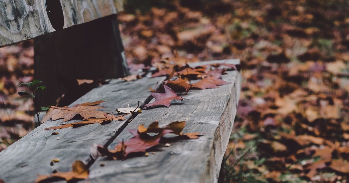 В Украине ожидается теплая погода с туманами и дождями: где сегодня будут осадки