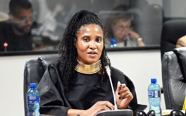 Донька президента ПАР склала мандат після звинувачень у вербуванні найманців для РФ — Reuters