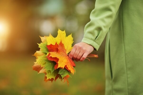 Последние дни осени: синоптики рассказали, каким будет 29 ноября в Украине