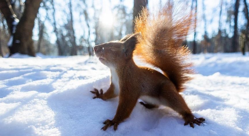 Температура впаде до -5 градусів: якою буде погода в перші дні грудня