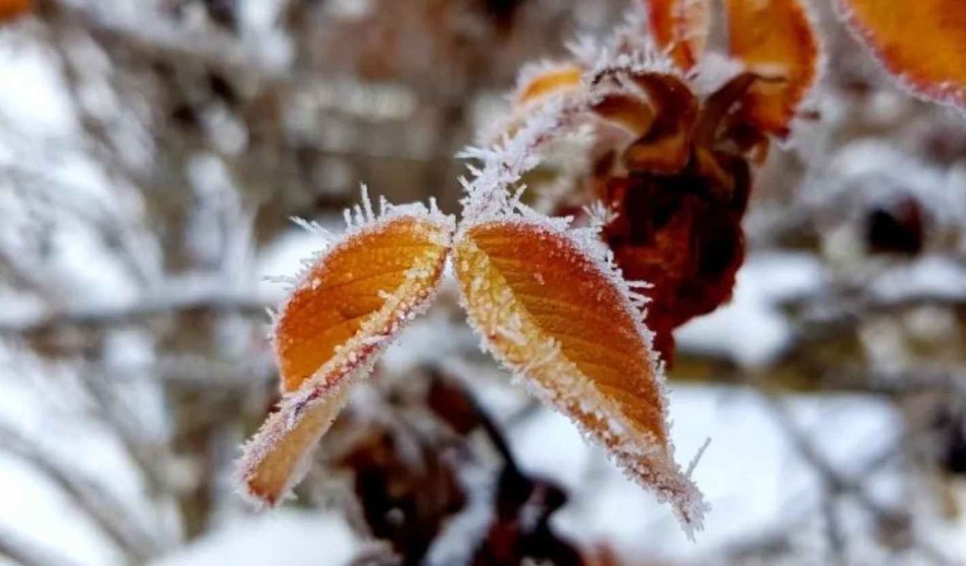 Украину может накрыть одно из самых сильных похолоданий за последние десятилетия, - синоптик