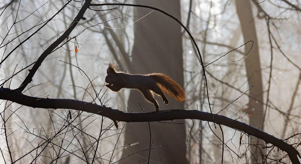 Прогноз на завтра: в Україні збережеться контрастна погода