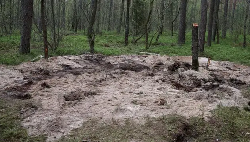 Китай посадив так багато дерев, що вони вплинули на розподіл води