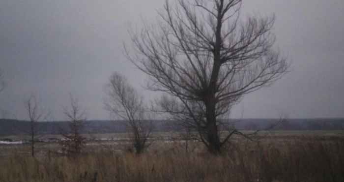 Погода на цьому тижні: детальний прогноз на найближчі дні