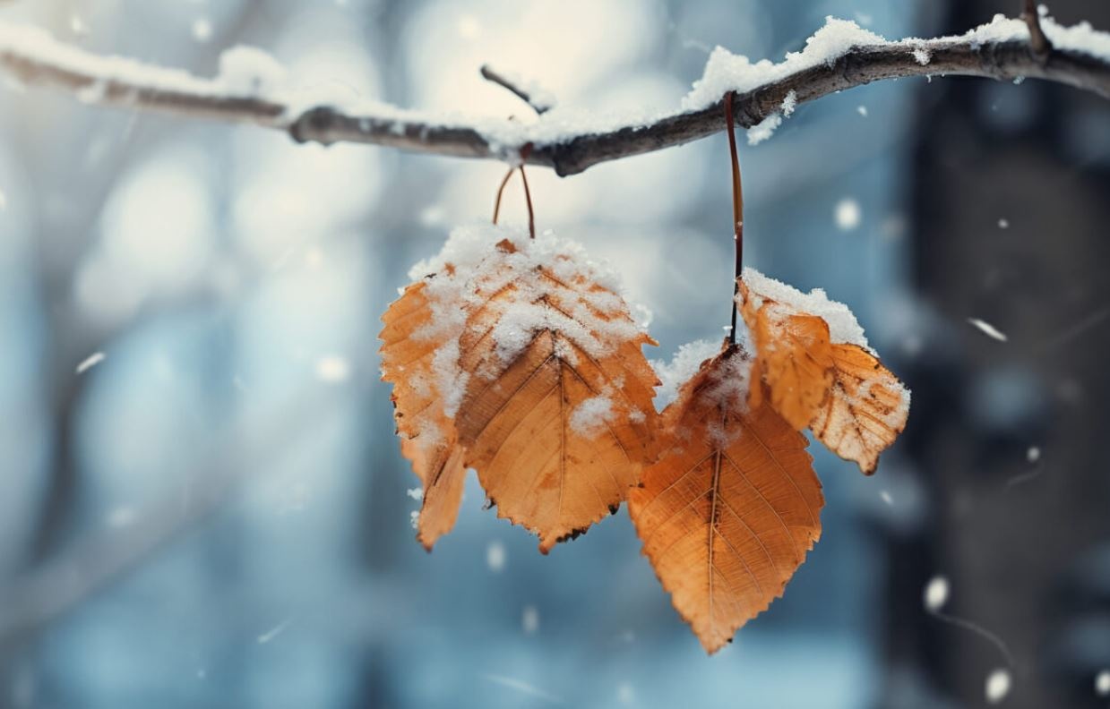 Синоптики попередили про різку зміну погоди 10 грудня: чого очікувати в Україні