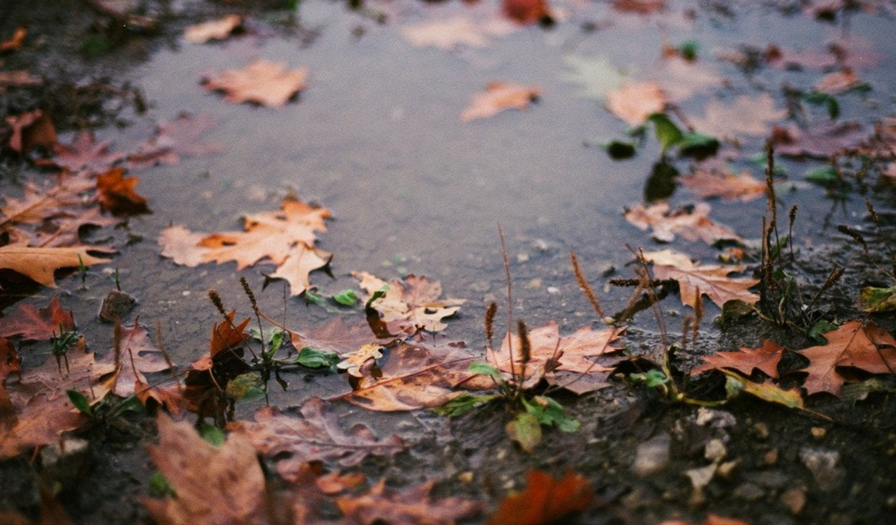 От весенних +11° до морозов: синоптик Диденко рассказала о погодных качелях после 11 декабря