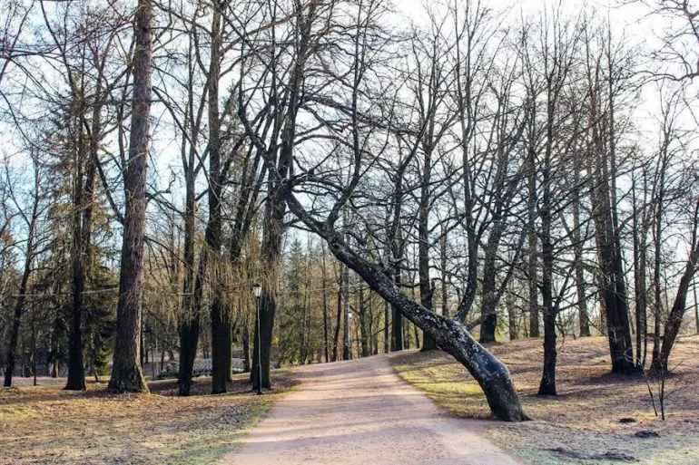 Погода в Украине изменится: когда похолодает и заснежит