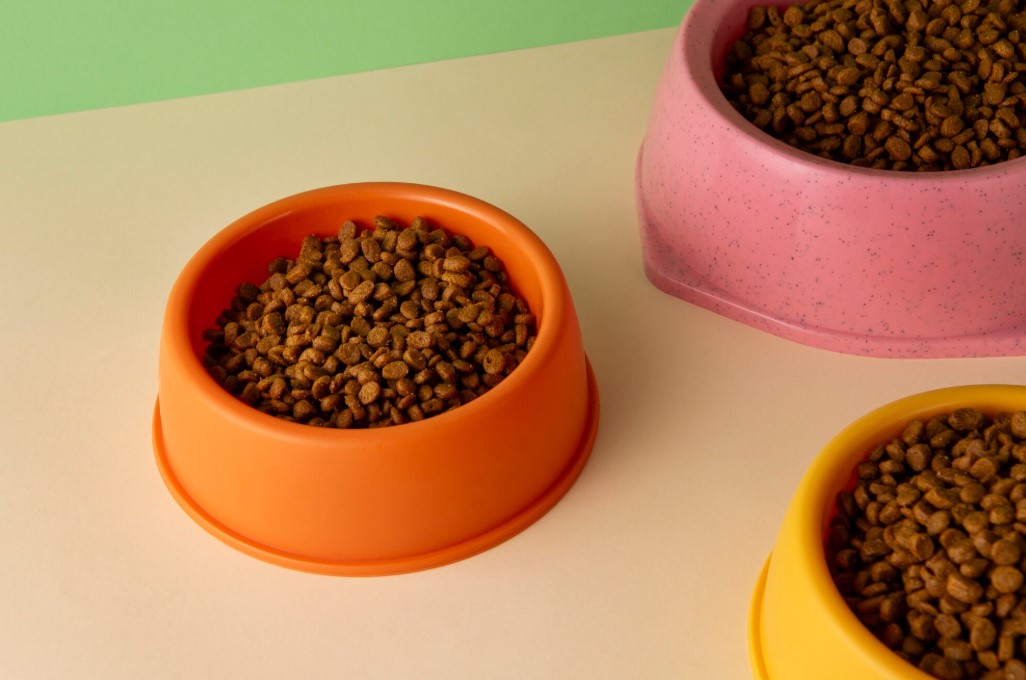 Hill’s Prescription Diet z/d и d/d — в чем разница и какой выбрать