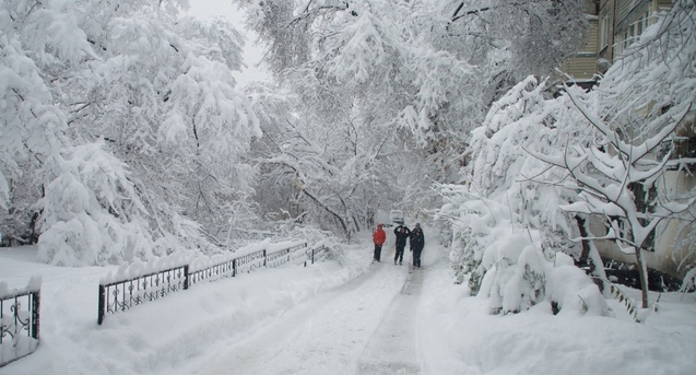 Чи будуть морози та сніг в Україні цієї зими — прогноз синоптикині