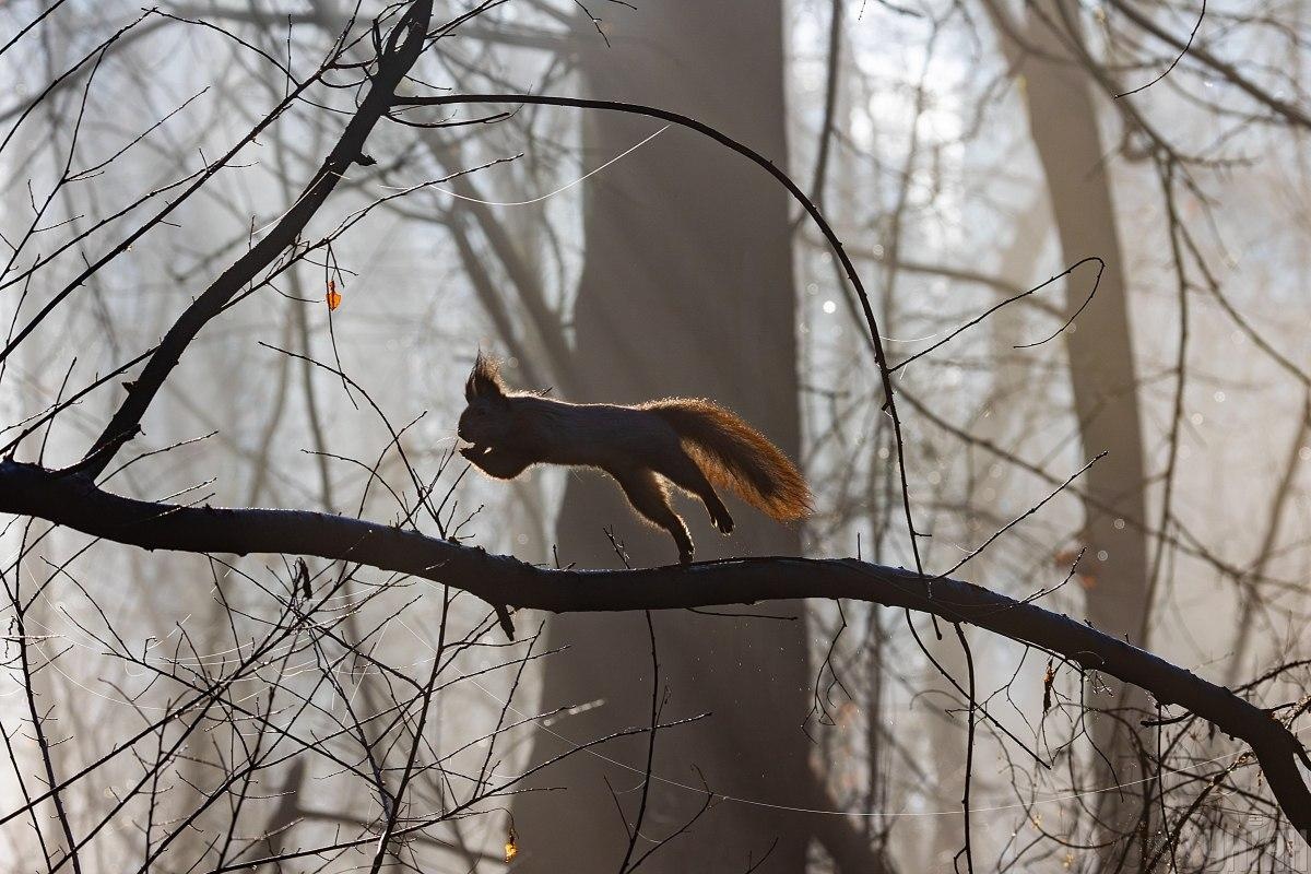 Температура воздуха будет колебаться: прогноз погоды на ближайшие дни