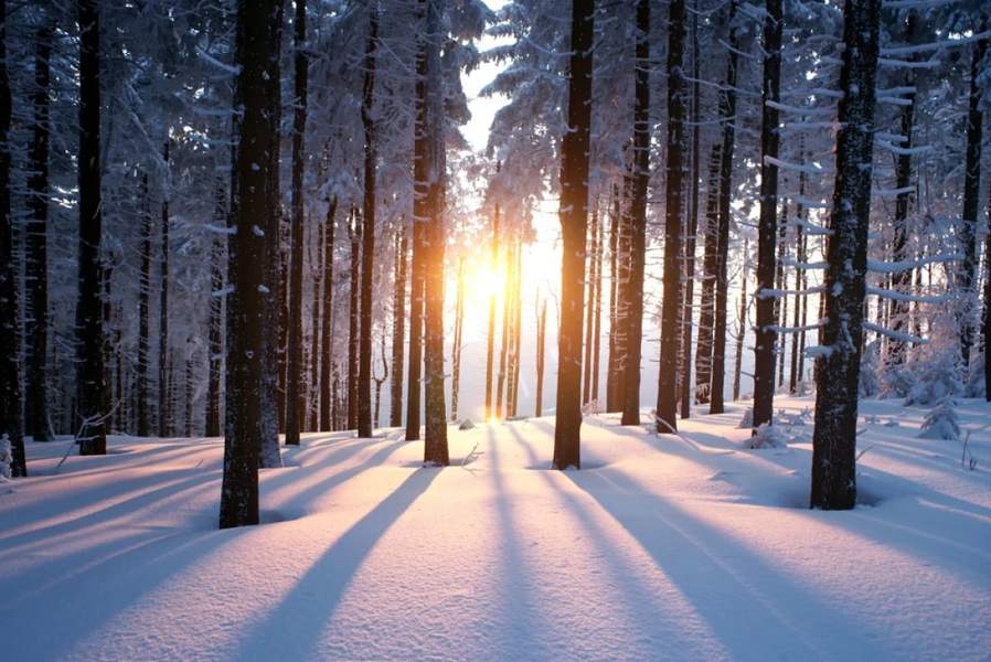 День зимнего солнцестояния: когда будет самая длинная ночь года