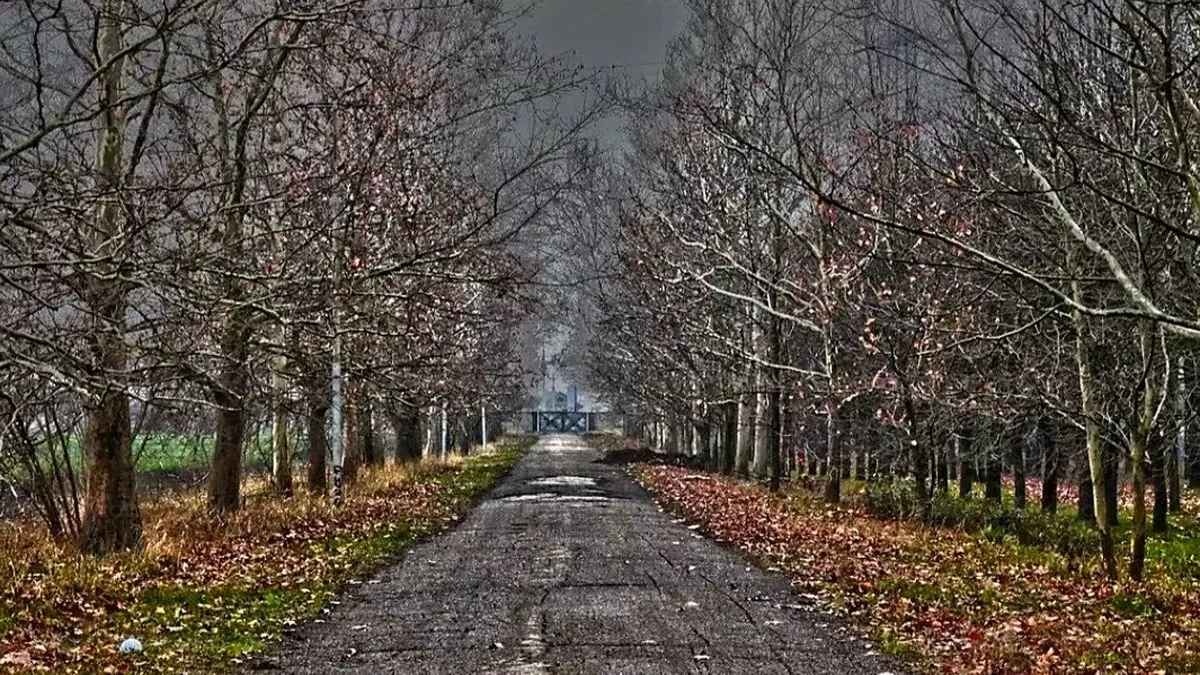 Погоду в Украине будет определять антициклон: прогноз синоптиков на сегодня