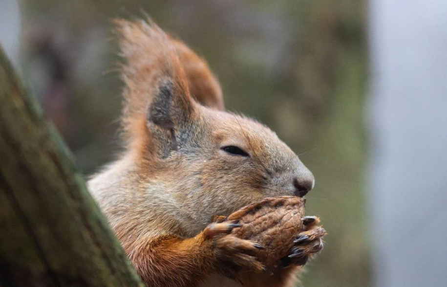 Сьогодні до України зайдуть дощі: де чекати на опади