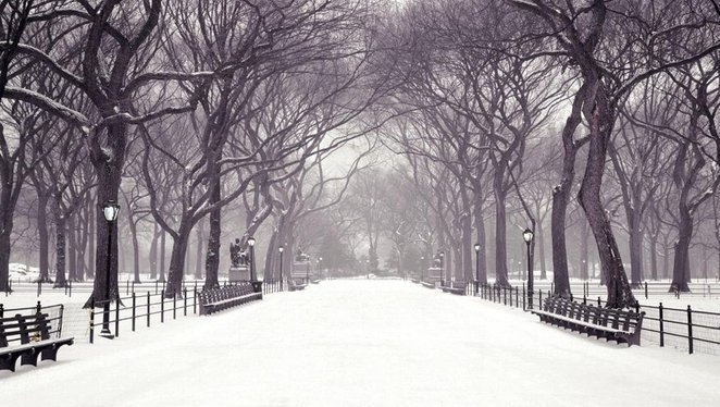 В Украине ожидается существенное похолодание: синоптики предупредили о резкой смене погодных условий