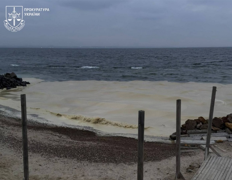 Из-за ударов РФ по порту произошла утечка растительного масла в Черное море