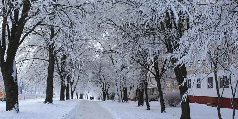 Морози посиляться: коли чекати на сильне похолодання