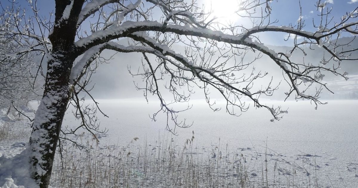 Очікується зниження температури: синоптик розповів про погоду 1-3 січня