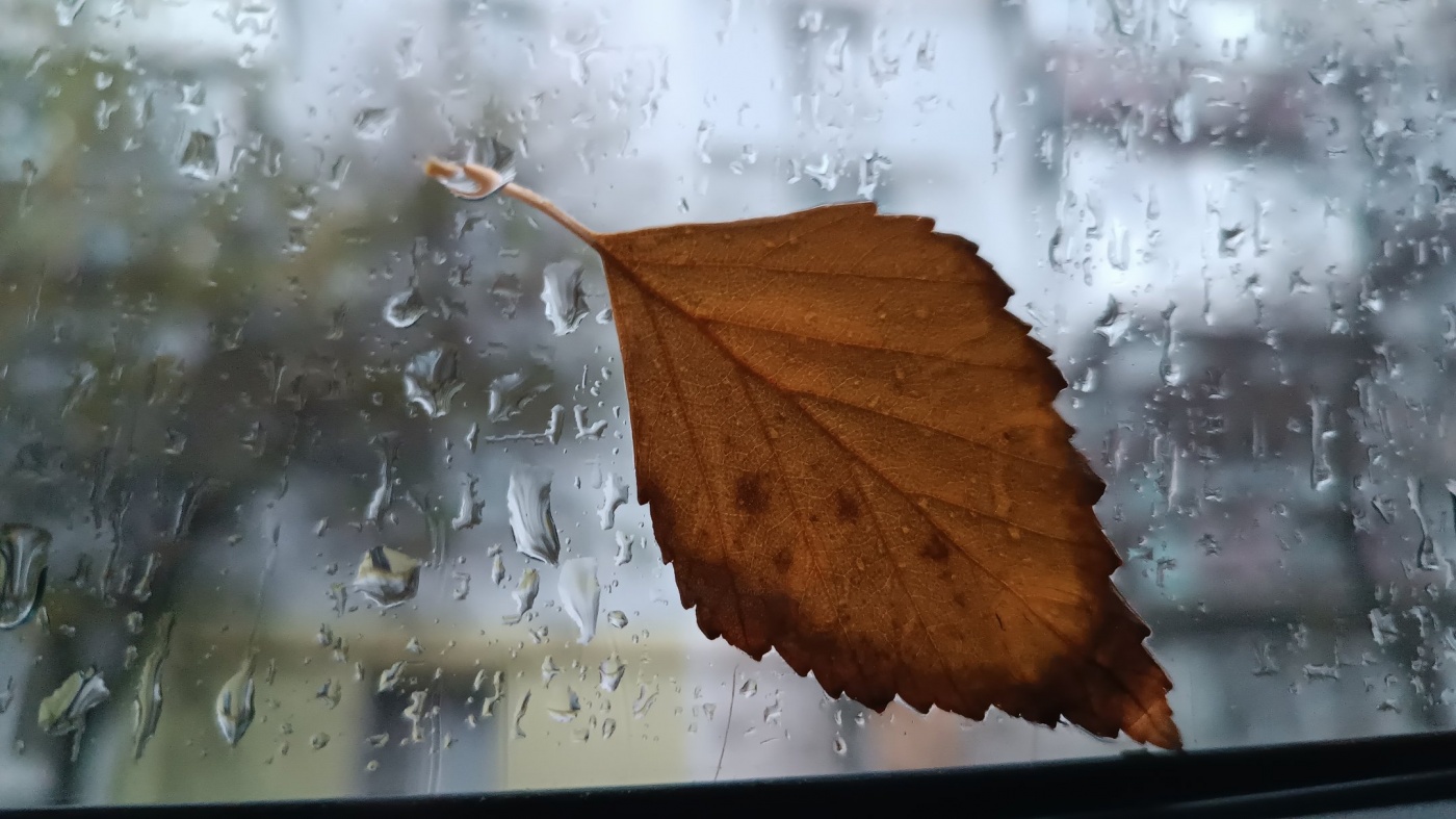 Осадки ожидаются в большинстве областей: прогноз погоды на сегодня