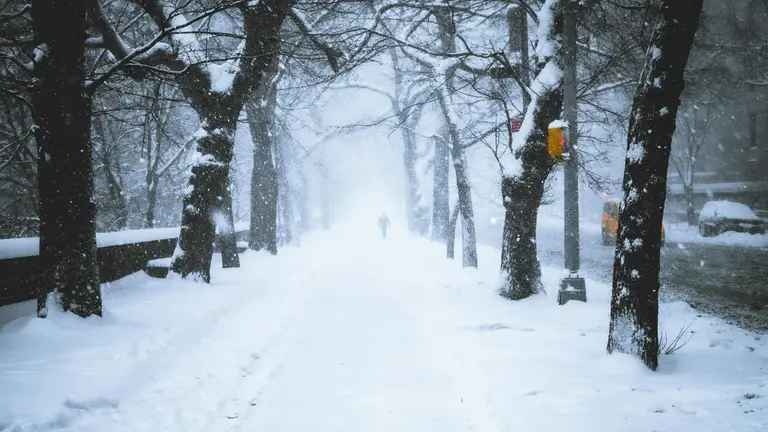 Якою буде погода у перший день нового року: прогноз синоптиків