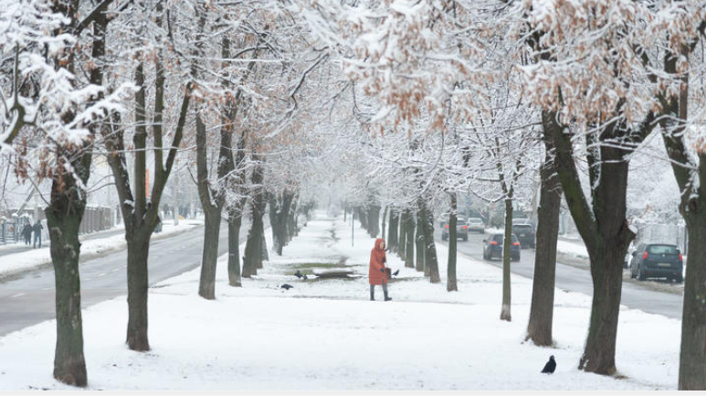 Местами небольшой снег, возможна гололедица: прогноз погоды на сегодня
