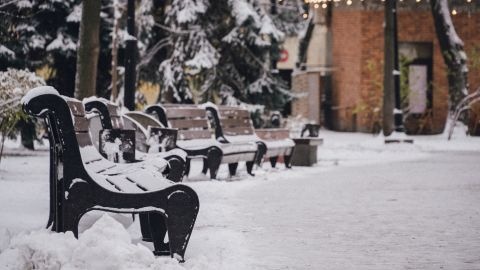 От оттепели до сильных морозов: прогноз погоды в Украине на неделю