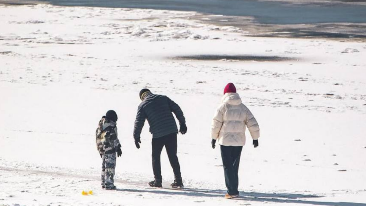 Морози в Україні зміцняться і триватимуть до лютого, - синоптик