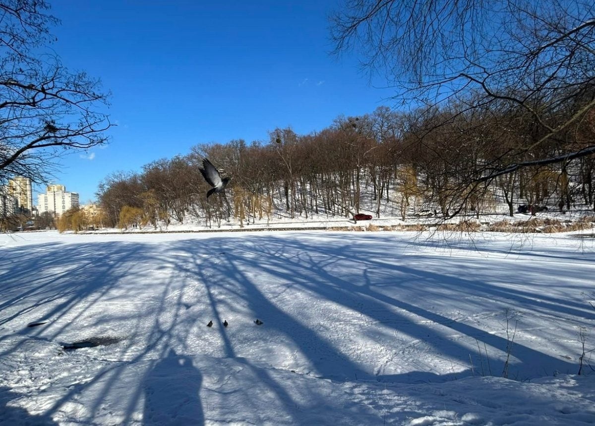 В Україні розпочинається поступове підвищення температури повітря, погоду визначатиме антициклон