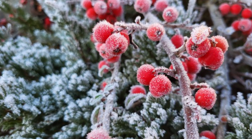 В Україні продовжить змінюватися: прогноз на 23 січня