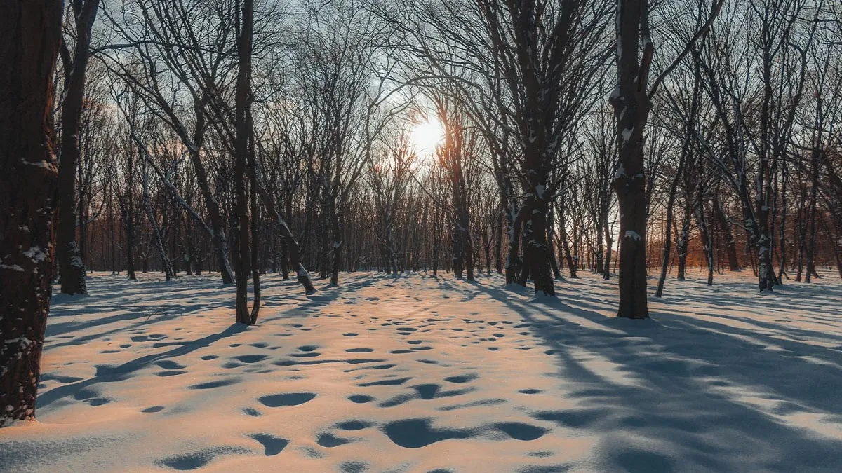 В Укргідрометцентрі озвучили прогноз на лютий: якою буде погода