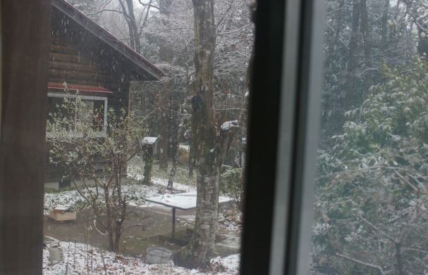 Кінець потепління: 30 січня до України повернуться морози